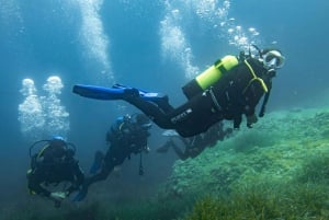 Mallorca: Try Scuba - try diving from a boat with an SSI instructor