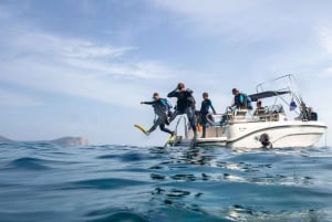 Mallorca: Try Scuba - try diving from a boat with an SSI instructor