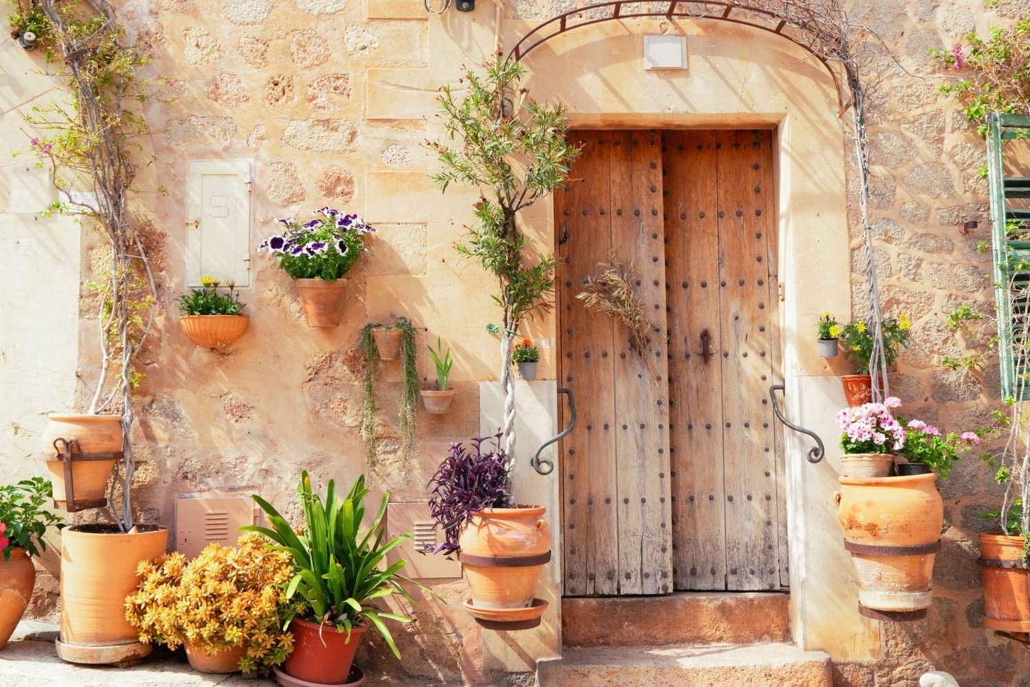 Mallorca: Opdag øens skjulte perler Guidet dagstur