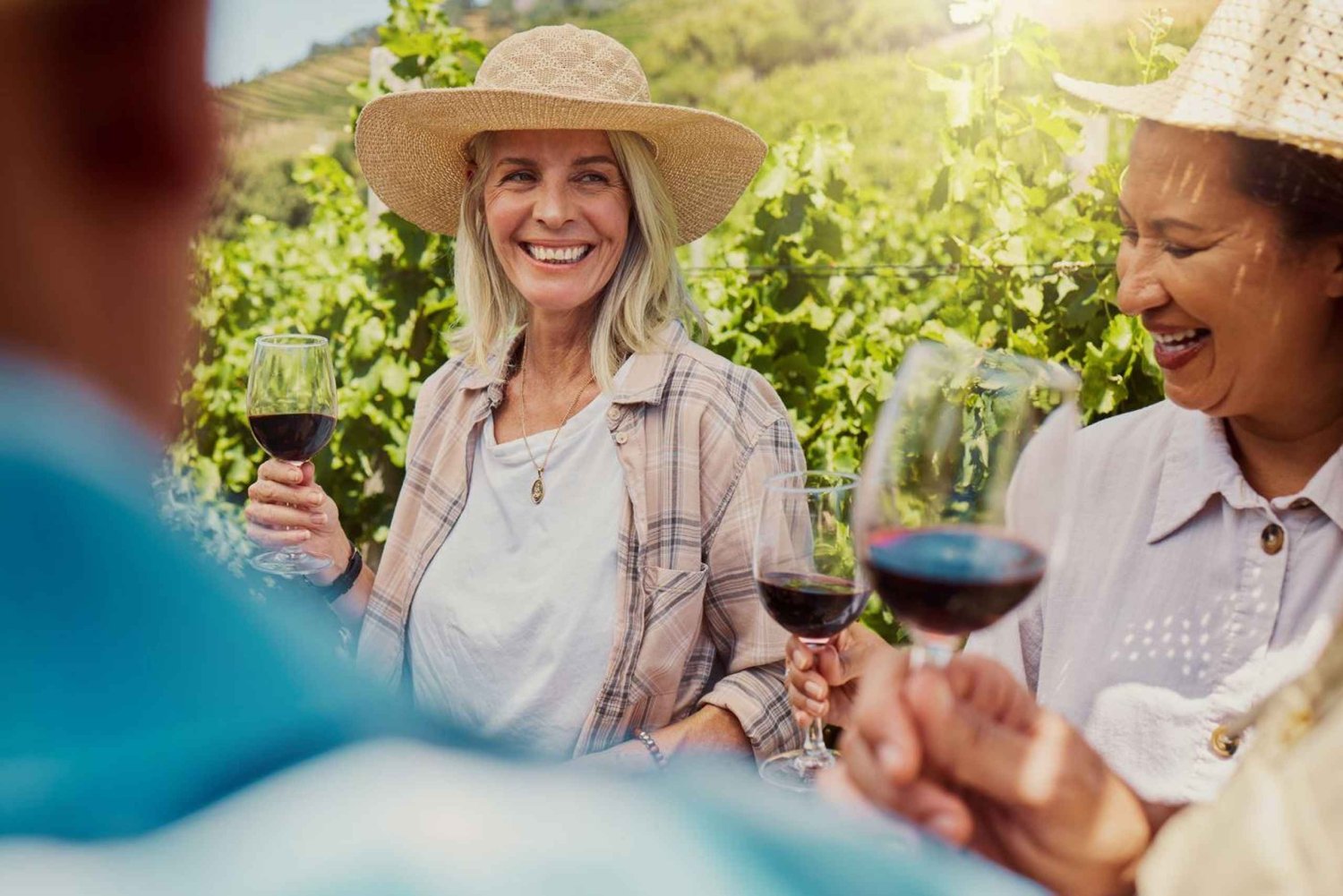 Maiorca: Valldemossa e degustação de vinhos - Grupo ultra pequeno