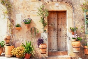 Maiorca: Valldemossa e degustação de vinhos - Grupo ultra pequeno