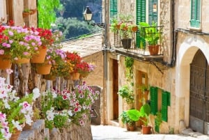 Maiorca: Valldemossa e degustação de vinhos - Grupo ultra pequeno