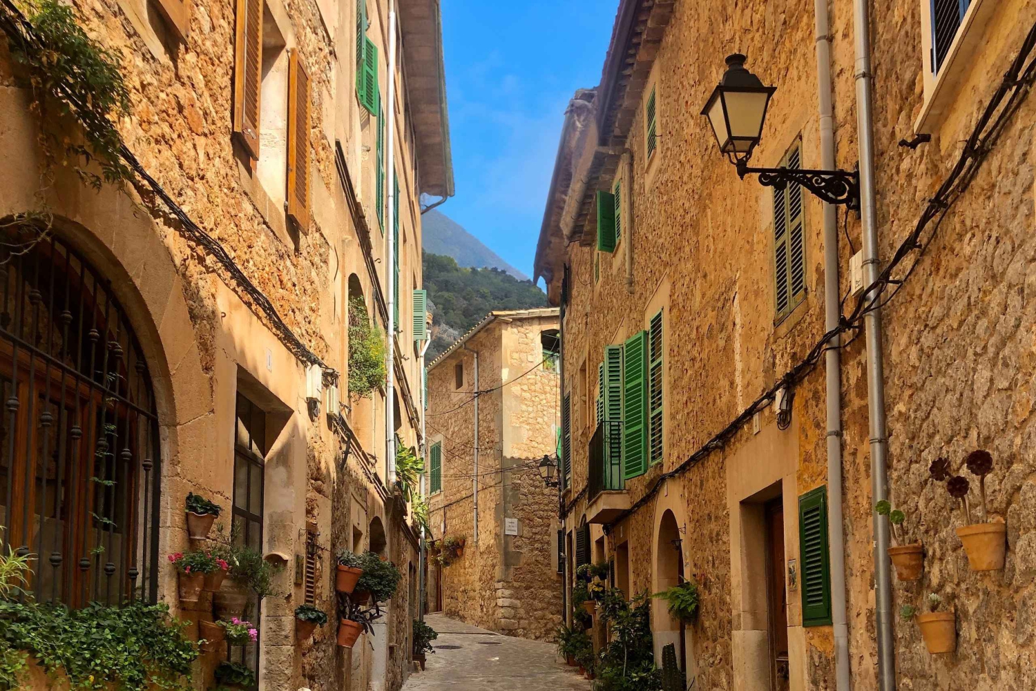 Maiorca: Tour di mezza giornata di Valldemossa