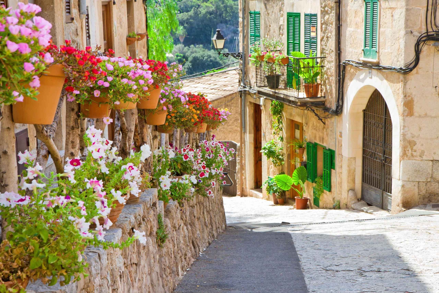 Maiorca: Tour di mezza giornata di Valldemossa