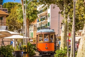 Mallorca: Gran Tour por tierra y mar