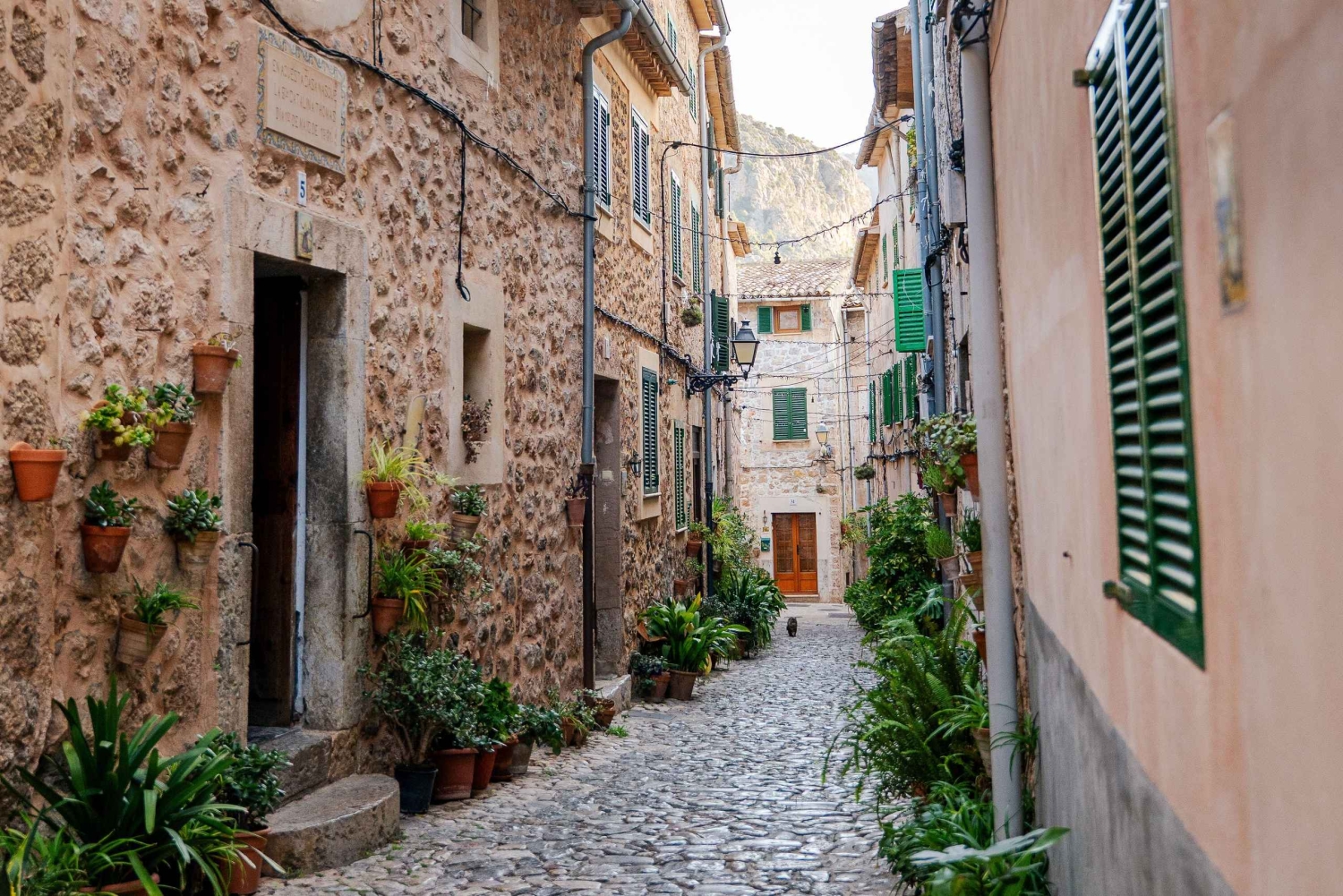 Mallorca: Rundtur i Valldemossa og vinsmagning i Macià Batle - Rundtur i små grupper