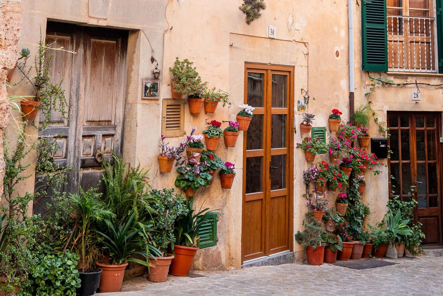 Mallorca: Rundtur i Valldemossa og vinsmagning i Macià Batle - Rundtur i små grupper
