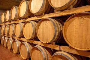 Mallorca: Rundtur i Valldemossa og vinsmagning i Macià Batle - Rundtur i små grupper