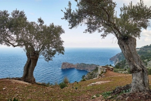 Mallorca: Electric Car Tour Sea & Mountains