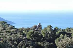 Mallorca: Electric Car Tour Sea & Mountains