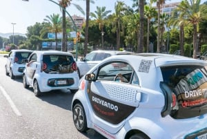 Palma de Mallorca: Valldemossa Hidden Viewpoints E-Car Tour