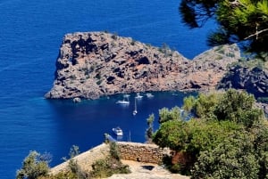 Palma de Mallorca: Valldemossa Hidden Viewpoints E-Car Tour