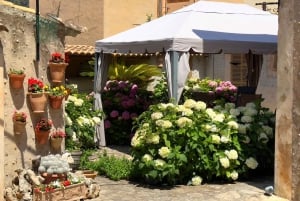 Mallorca: Landsbyer, Valldemossa og lokal frokost