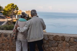 Mallorca: Landsbyer, Valldemossa og lokal frokost