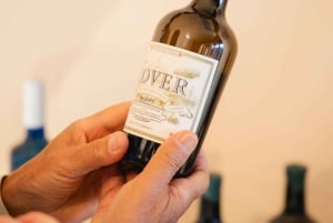 Mallorca: Landsbyer, Valldemossa og lokal frokost