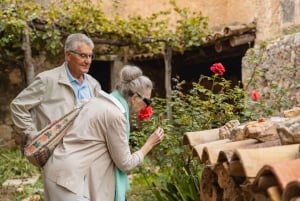 Mallorca: Landsbyer, Valldemossa og lokal frokost