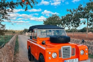 Mallorca: Puesta de sol vintage junto al mar con picnic