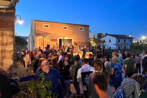 Majorque : Visite de la cave et dégustation de vins, accompagnés de produits majorquins