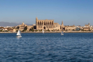 Mallorca: Besøg Palma Speedboat adrenalin & snorkling
