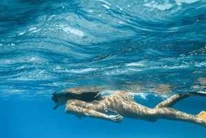 Mallorca: Besøg Palma Speedboat adrenalin & snorkling