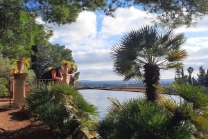 Mallorca: West Coast & Orange Valley Full Day Minbus Tour