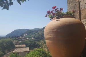 Mallorca: Costa Oeste y Valle de los Naranjos Tour de día completo en minibús