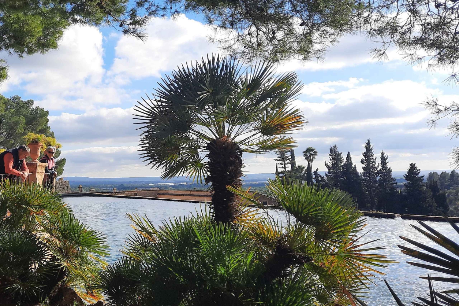 Mallorca: Västkusten & Apelsindalen Minibuss