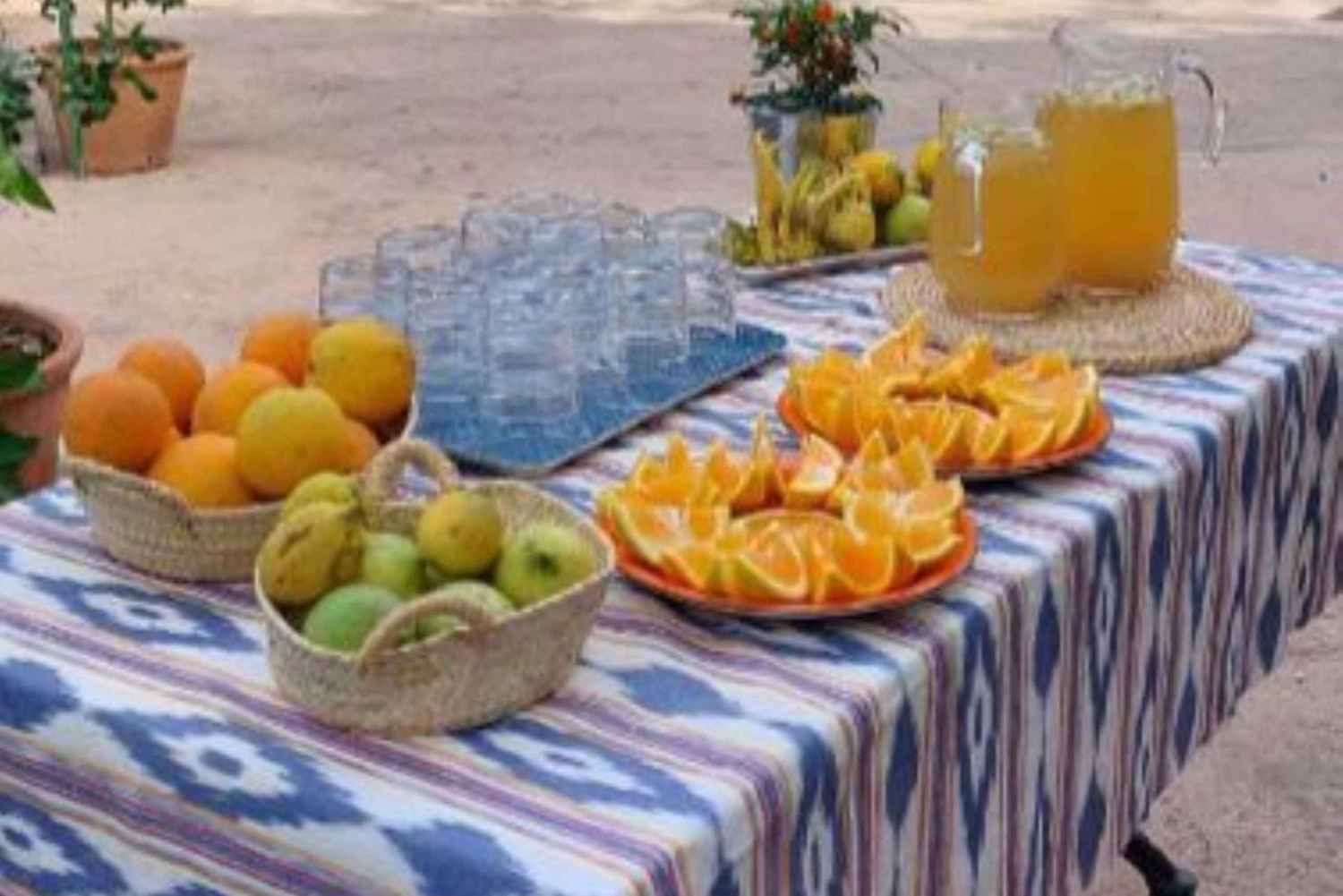 Mallorca: Västkusten & Apelsindalen Minibuss