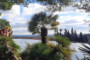 Mallorca: Västkusten & Apelsindalen Minibuss