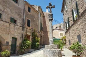 Mallorca: Västkusten & Apelsindalen Minibuss