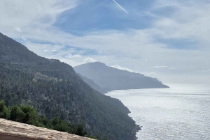 Mallorca: Västkusten & Apelsindalen Minibuss