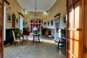 Mallorca: Västkusten & Apelsindalen Minibuss