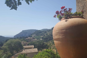 Mallorca: Västkusten & Apelsindalen Minibuss