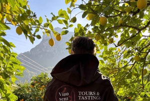 Mallorca: Västkusten & Apelsindalen Minibuss