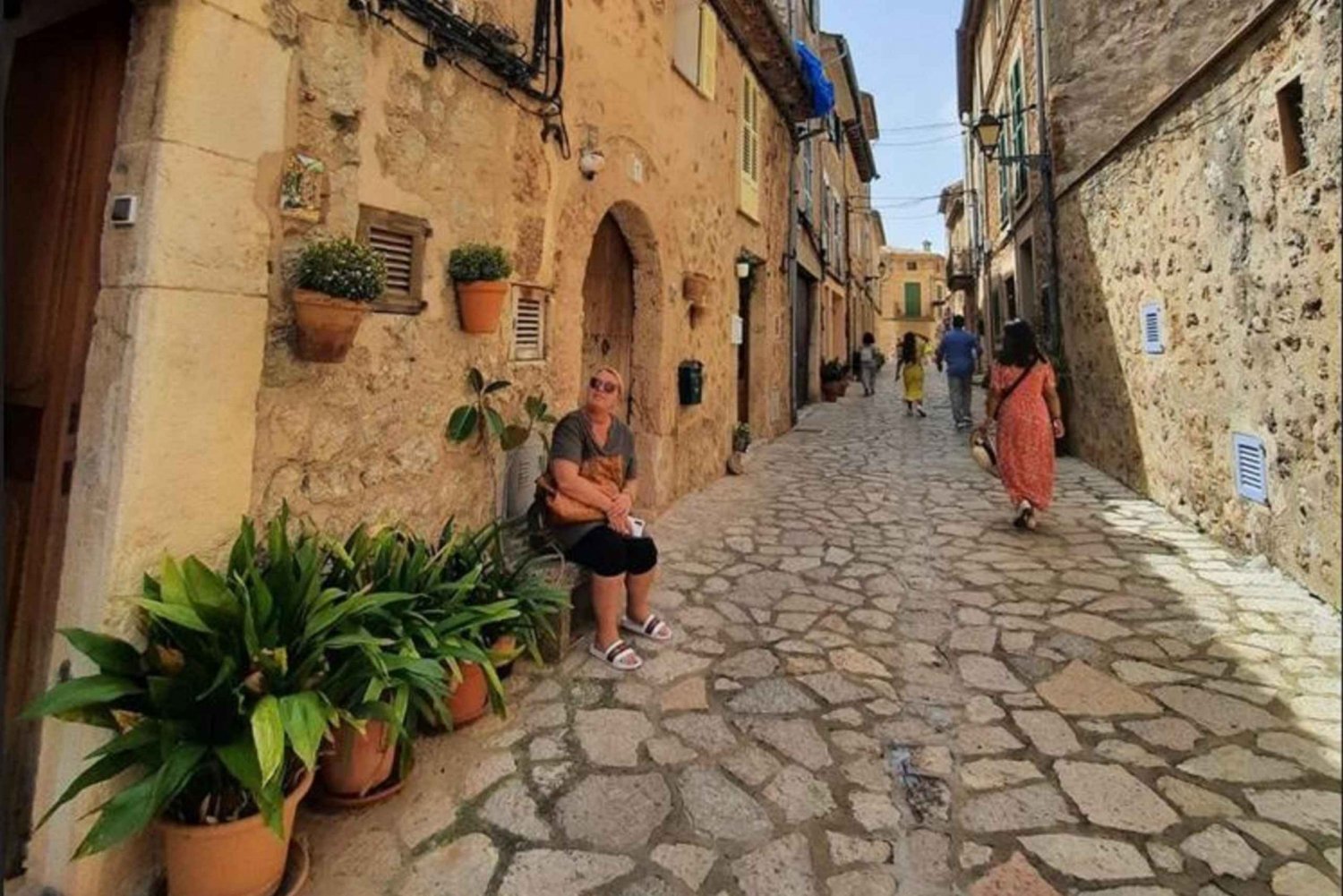 Mallorca: Almond Blossom Minivan Tour with tasting - GERMAN