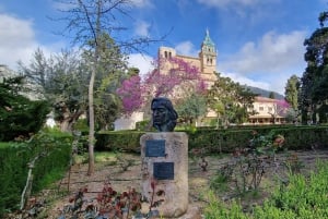 Mallorca: Amandelbloesem Minibus Tour met proeverij - DUITS