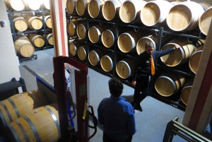 Mallorca: Wine Cellar & Olive Oil Finca Tour with Tasting