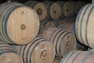 Mallorca: Wine Cellars Tour XL - Wine Tastings included