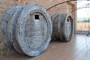 Mallorca: Wine Cellar & Olive Oil Finca Tour XL w. Tastings