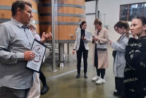 Mallorca: Wine Cellar & Olive Oil Finca Tour XL w. Tastings