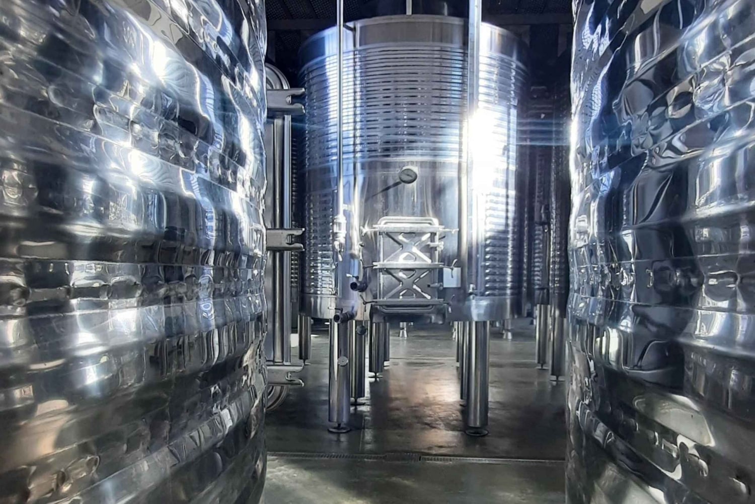 Maiorca: Tour pelas Adegas XL - incluindo 3 degustações de vinhos