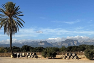 Maiorca: Tour pelas Adegas XL - incluindo 3 degustações de vinhos