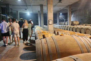 Maiorca: Tour pelas Adegas XL - incluindo 3 degustações de vinhos