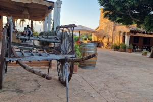 Maiorca: Tour pelas Adegas XL - incluindo 3 degustações de vinhos