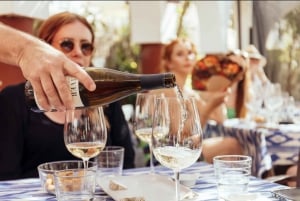 Mallorca Wine Experience: 5 exclusive wines & artisan cheese