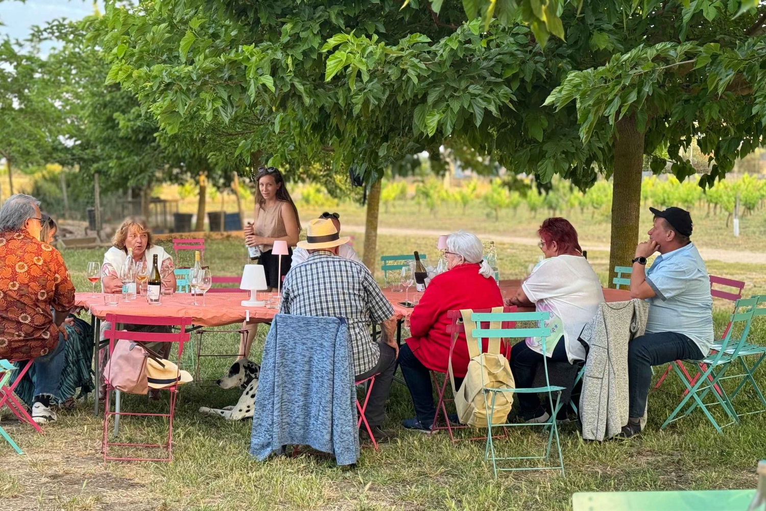Mallorca-vinoplevelse ved solnedgang