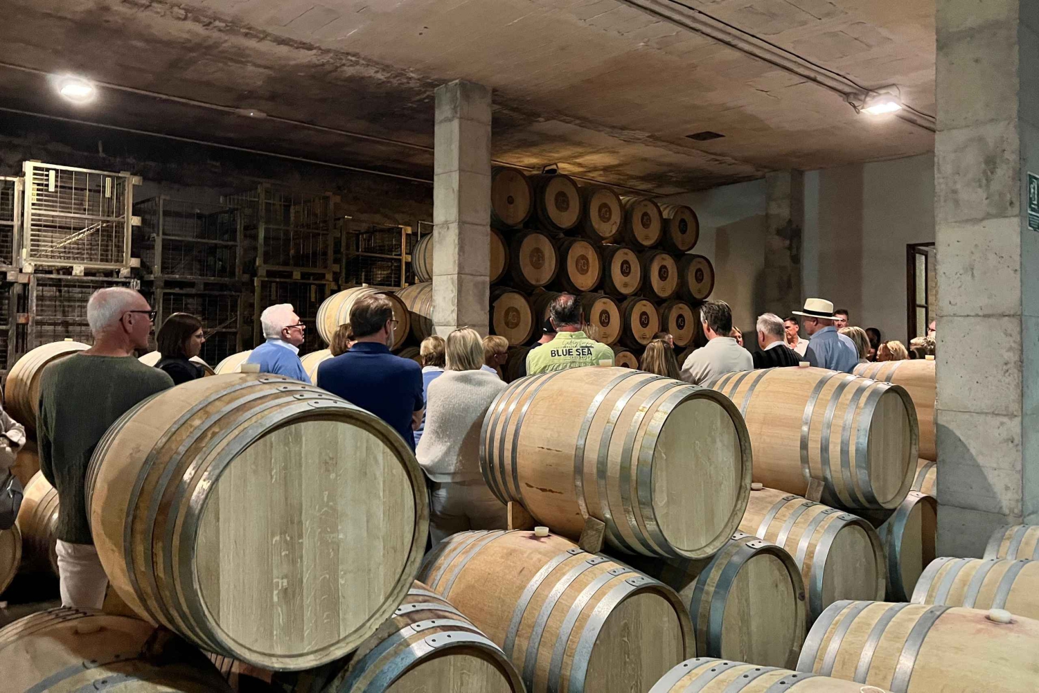 Mallorca-vinoplevelse ved solnedgang