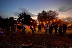 Mallorca wine experience at sunset