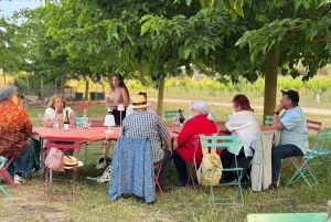 Mallorca-vinoplevelse ved solnedgang