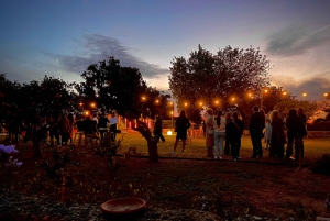 Mallorca-vinoplevelse ved solnedgang